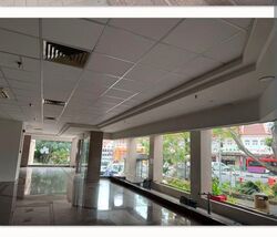 Balestier Point (D12), Shop House #617052781